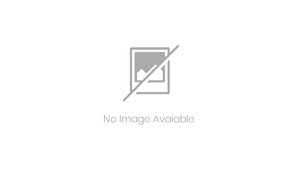 Hemat 40% dengan Sewa Mobil Bulanan Tanpa Ribet