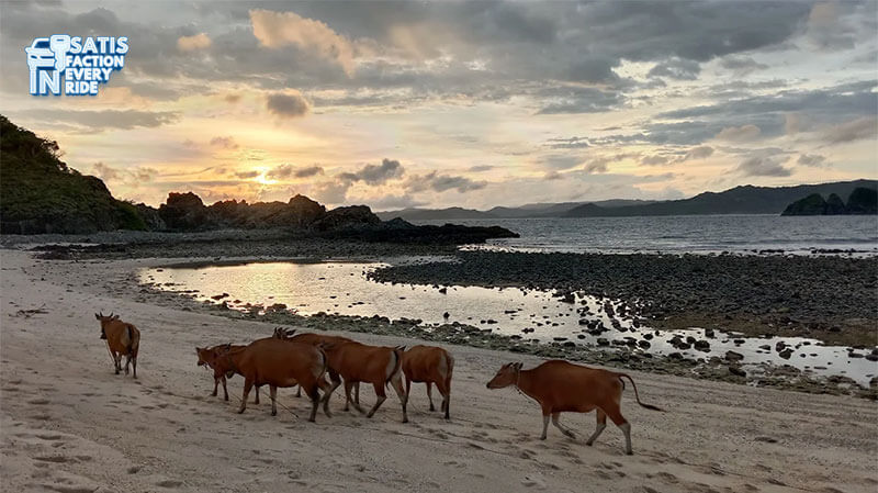 pantai tersembunyi di lombok
