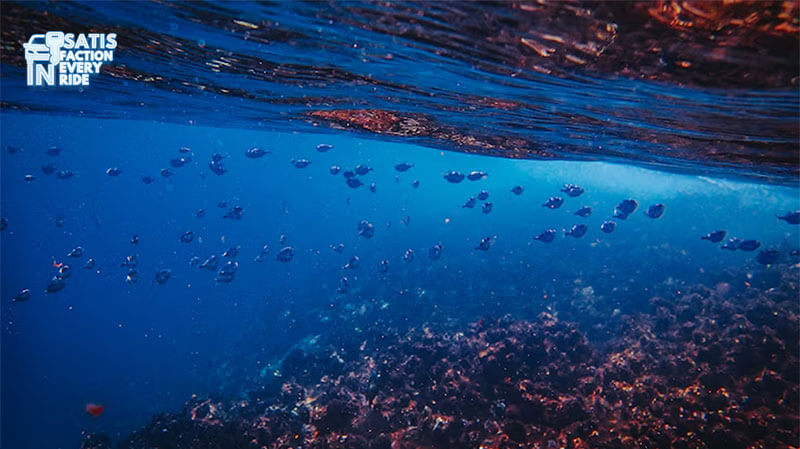 Masih Indah Kah Raja Ampat Sekarang? Perbandingan Dulu dan Kini yang Bikin Hati Campur Aduk 6 masih indah kah raja ampat sekarang
