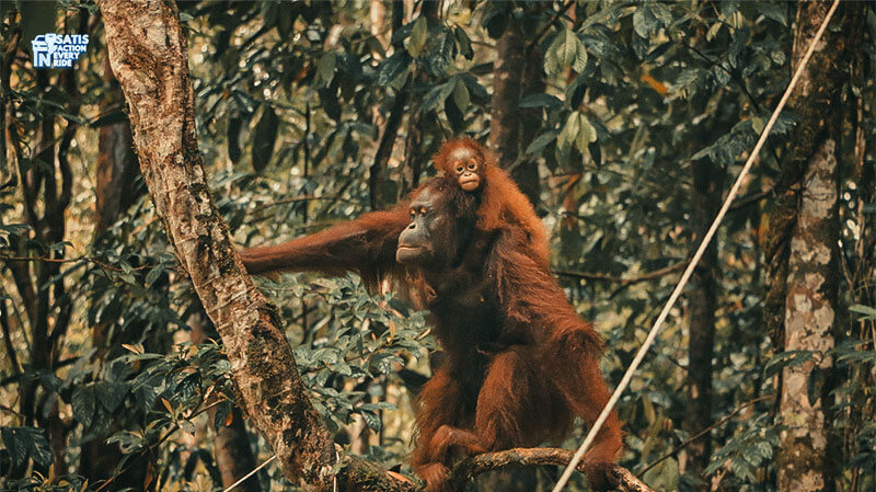 wisata kalimantan