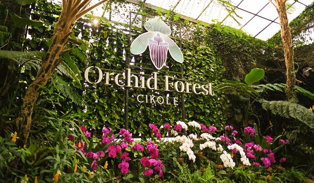 Wajib Masuk List! 7 Rekomendasi Wisata Bandung untuk Liburan 3 Hari 2 Malam 9 orchid Forest Cikole | wisata Bandung 3 hari 2 malam