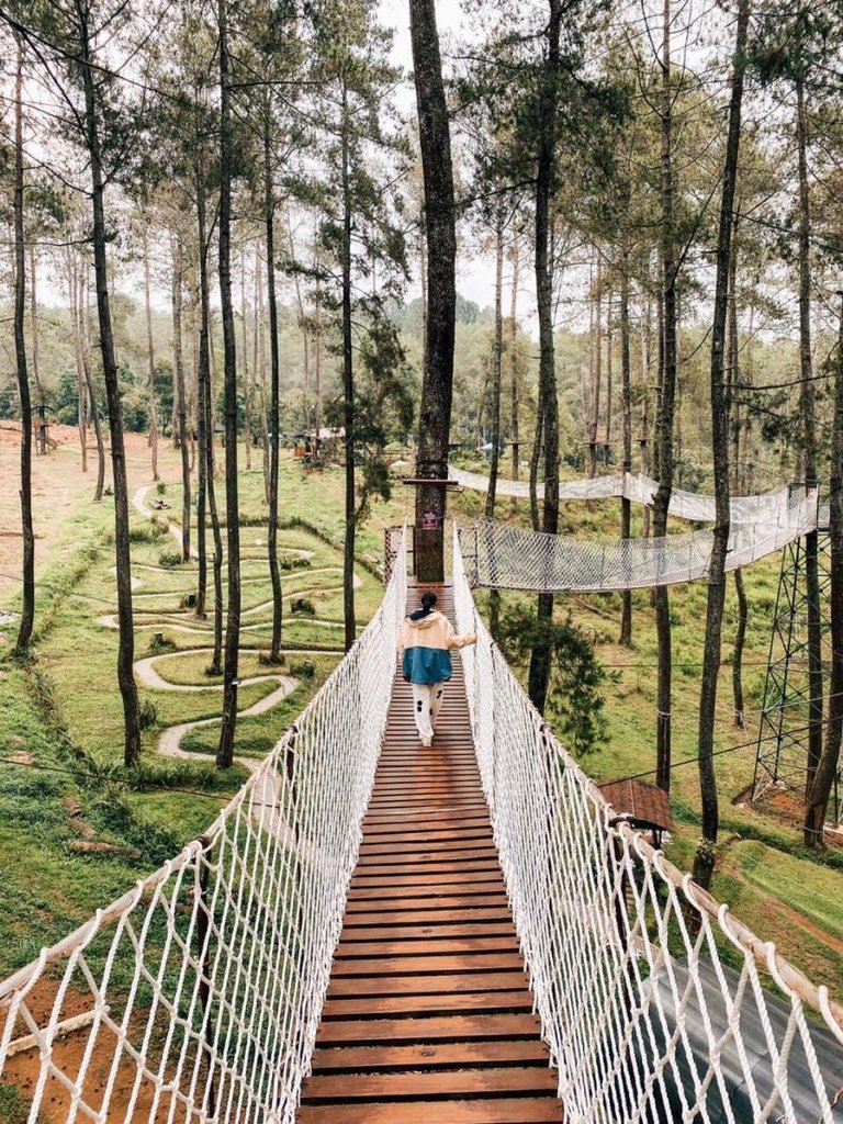orchid forest cikole dihadirkan untuk seluruh usia dan juga 200914130147 237