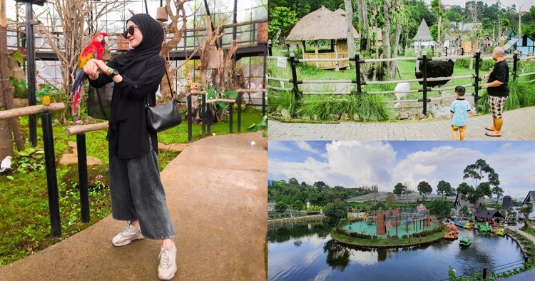 Anak Nggak Mau Pulang! Ini 5 Wisata Kids Friendly di Bandung untuk Family Time 2 Lembang Park & Zoo untuk wisata keluarga bersama anak